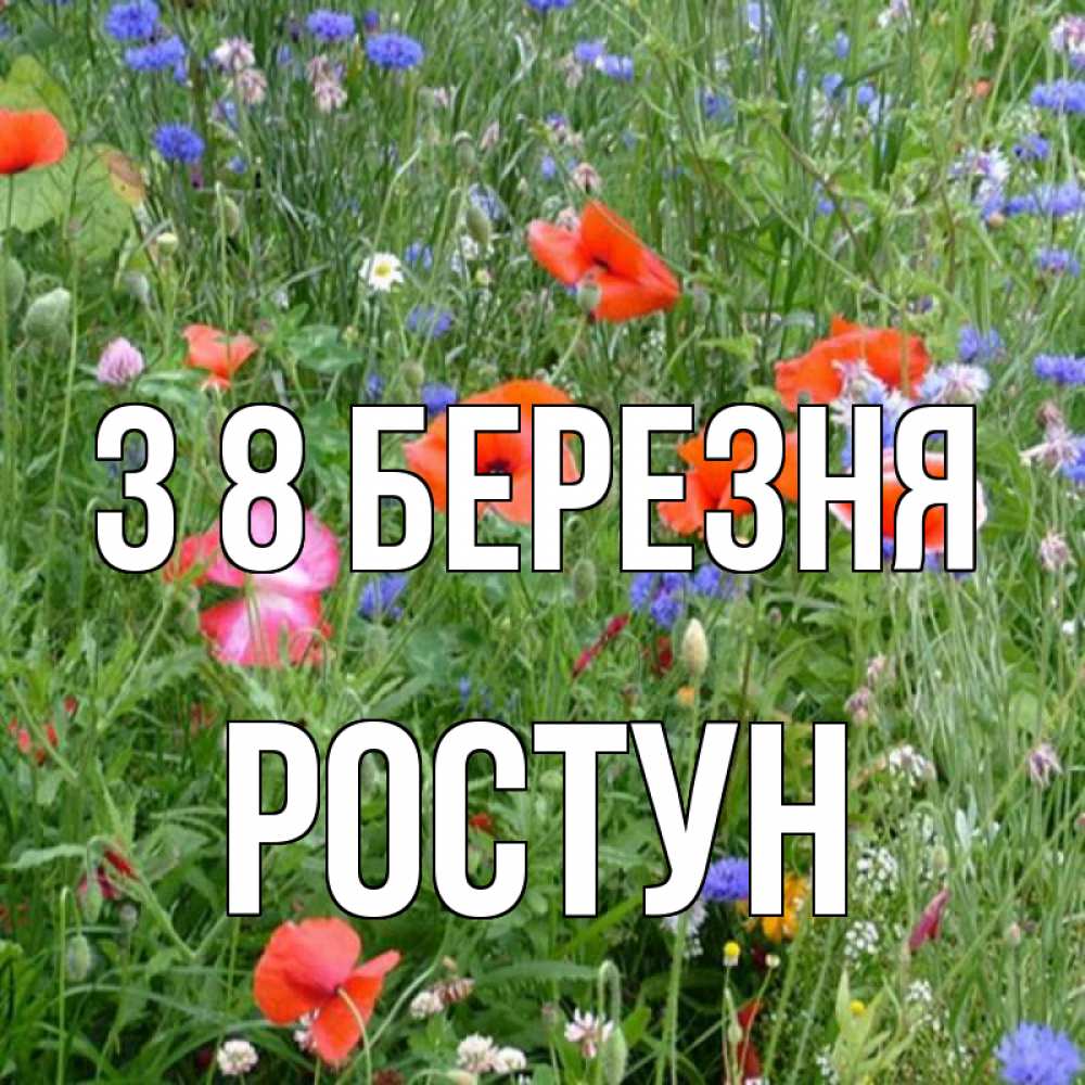Открытка на каждый день з підписом, Ростун З 8 БЕРЕЗНЯ международный женский день 4 Прикольна листівка з побажанням онлайн скачати безкоштовно 