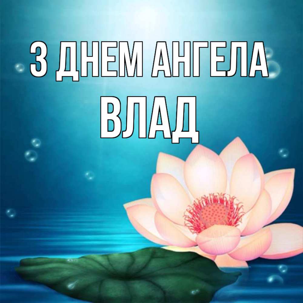 Открытка на каждый день з підписом, Влад З Днем ангела кувшинка Прикольна листівка з побажанням онлайн скачати безкоштовно 