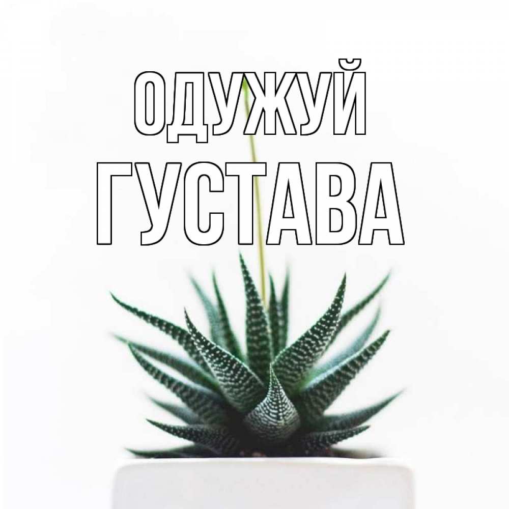 Открытка на каждый день з підписом, Густава Одужуй короче это непонятная колючка Прикольна листівка з побажанням онлайн скачати безкоштовно 