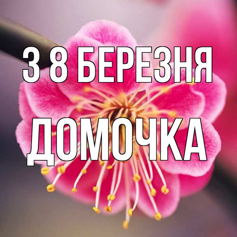 Открытка на каждый день з підписом, Домочка З 8 БЕРЕЗНЯ цветы Прикольна листівка з побажанням онлайн скачати безкоштовно 