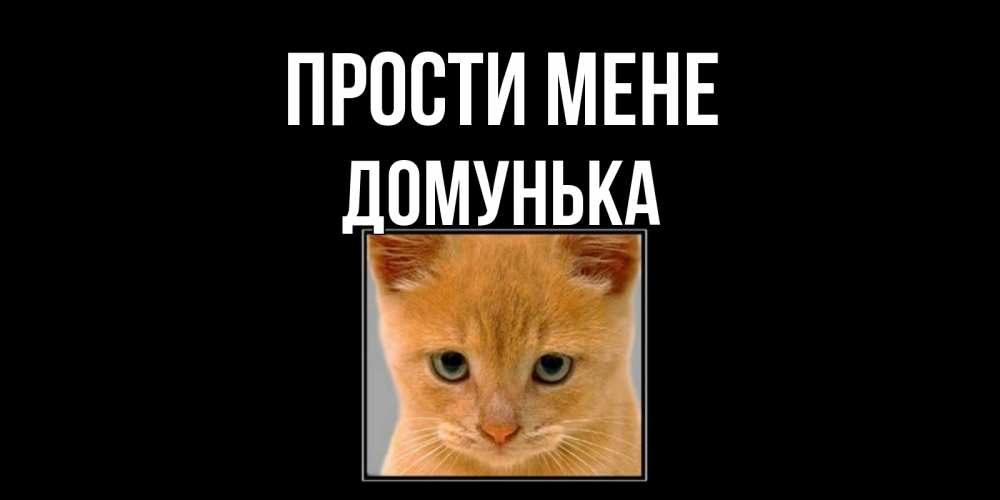 Открытка на каждый день з підписом, Домунька Прости мене рыжий грустный кот просит прощения Прикольна листівка з побажанням онлайн скачати безкоштовно 