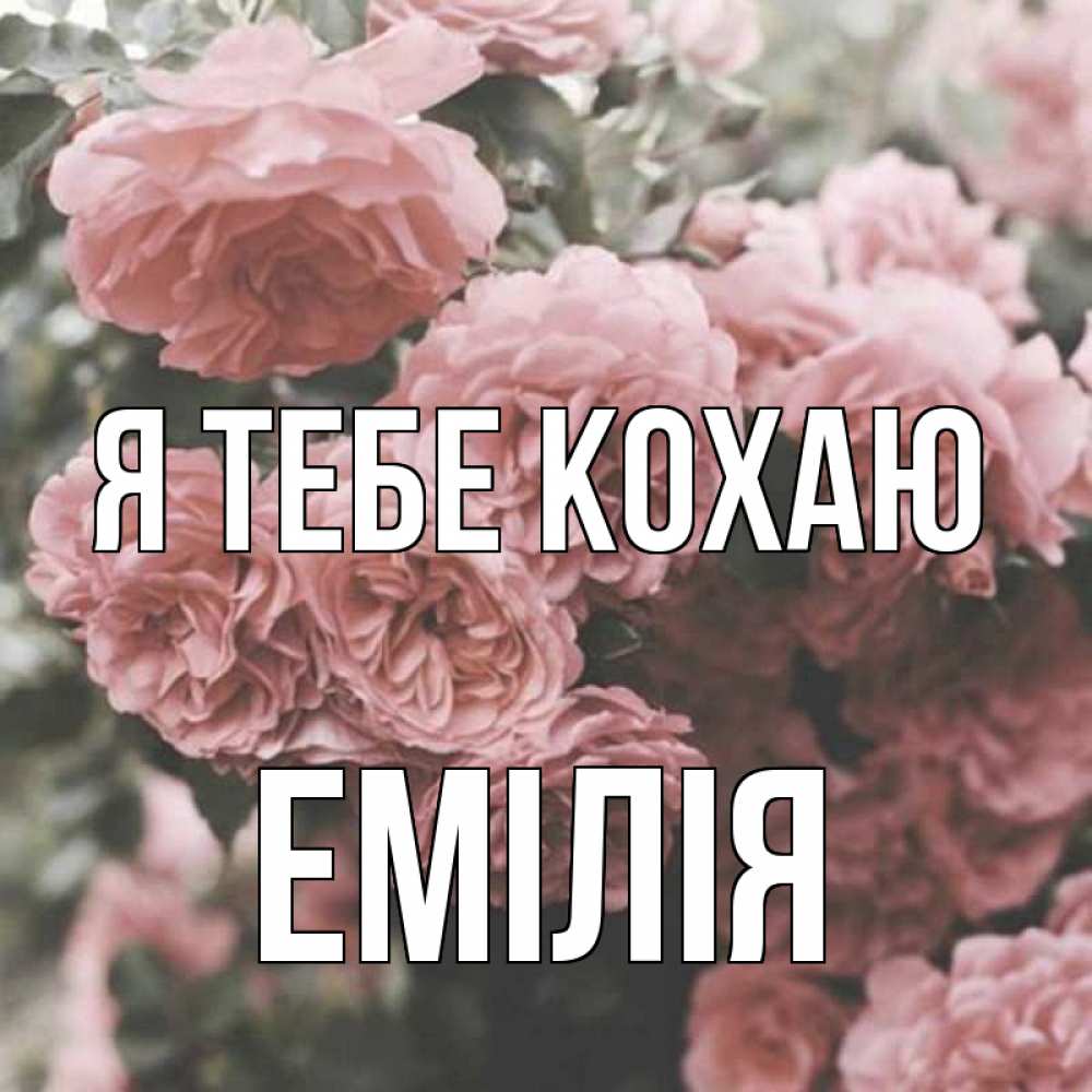Открытка на каждый день з підписом, Емілія Я тебе кохаю розы 3 Прикольна листівка з побажанням онлайн скачати безкоштовно 