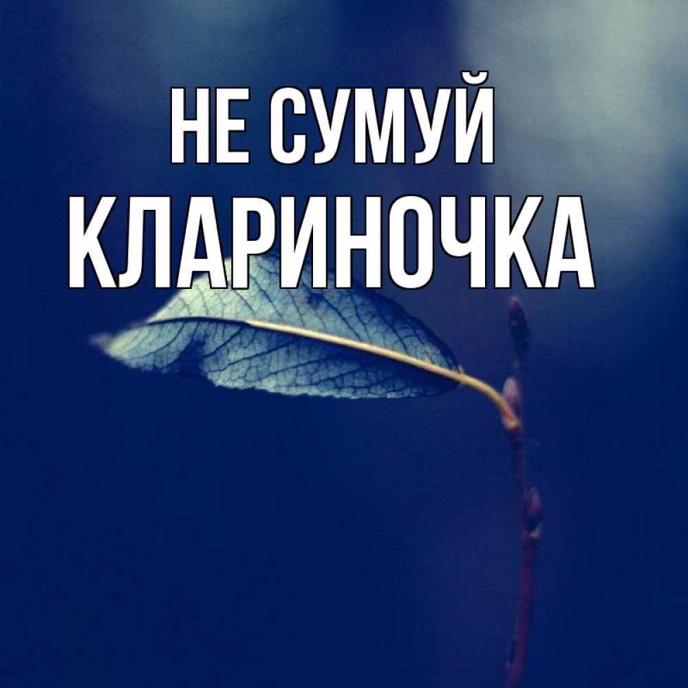 Открытка на каждый день з підписом, Клариночка Не сумуй растение Прикольна листівка з побажанням онлайн скачати безкоштовно 