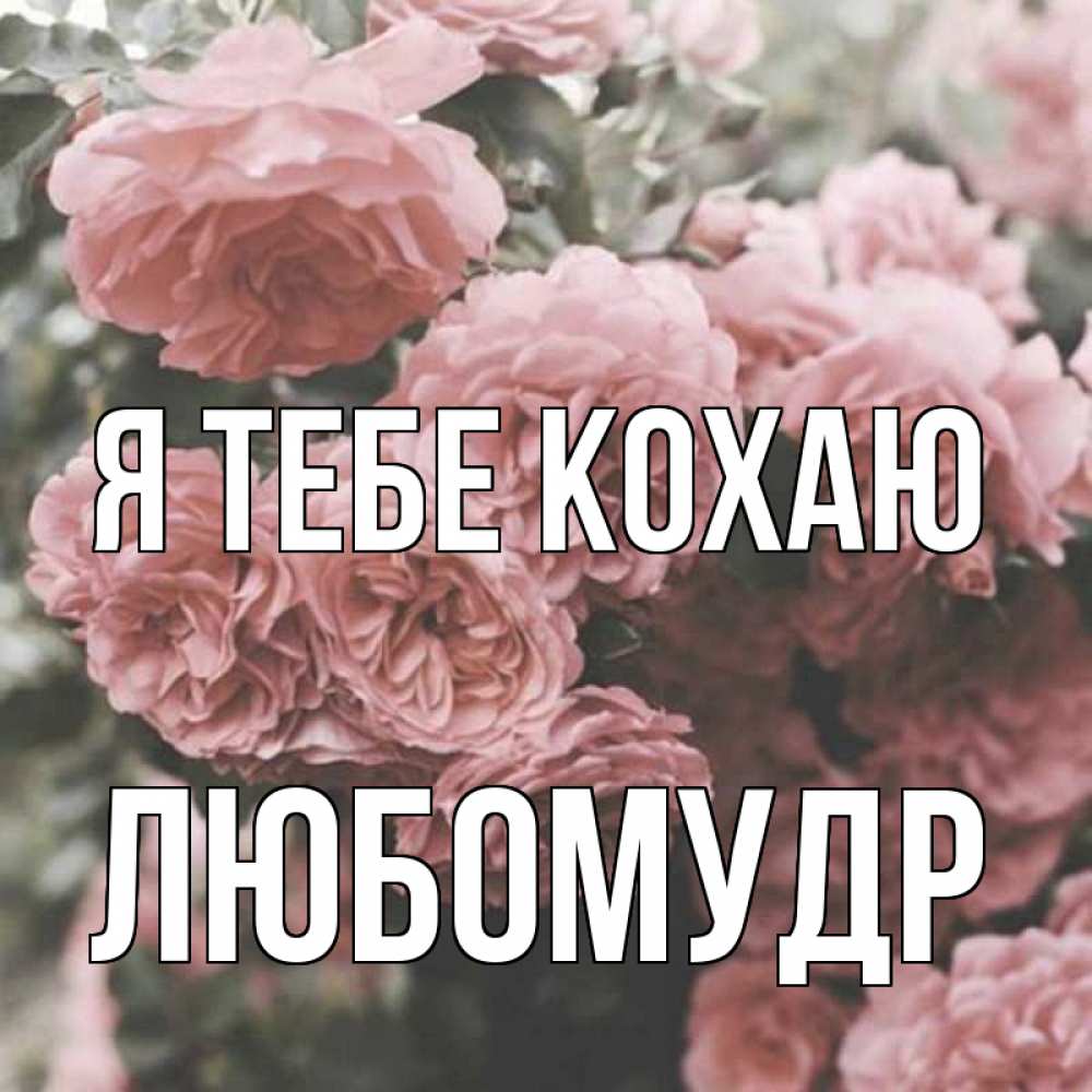 Открытка на каждый день з підписом, Любомудр Я тебе кохаю розы 3 Прикольна листівка з побажанням онлайн скачати безкоштовно 