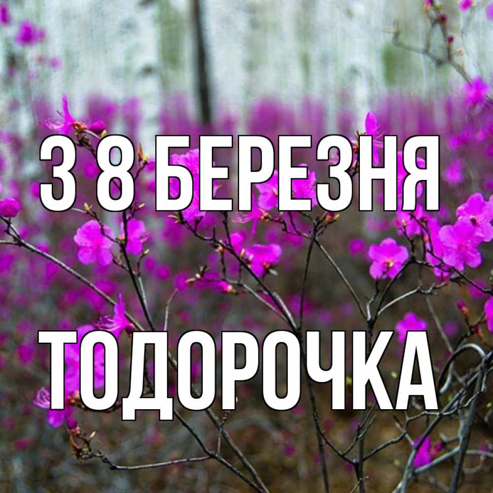 Открытка на каждый день з підписом, Тодорочка З 8 БЕРЕЗНЯ дикие цветы Прикольна листівка з побажанням онлайн скачати безкоштовно 