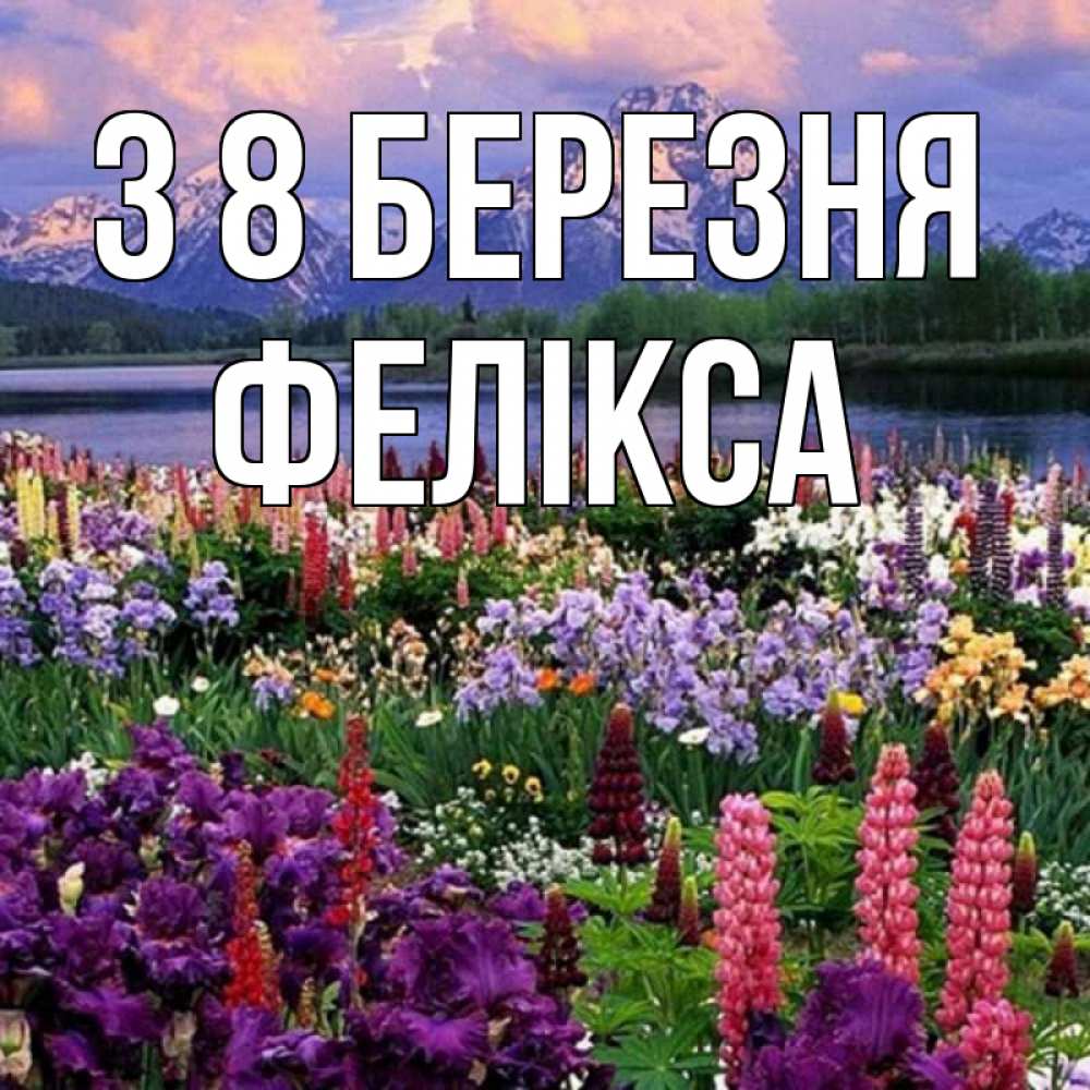 Открытка на каждый день з підписом, Фелікса З 8 БЕРЕЗНЯ международный женский день Прикольна листівка з побажанням онлайн скачати безкоштовно 