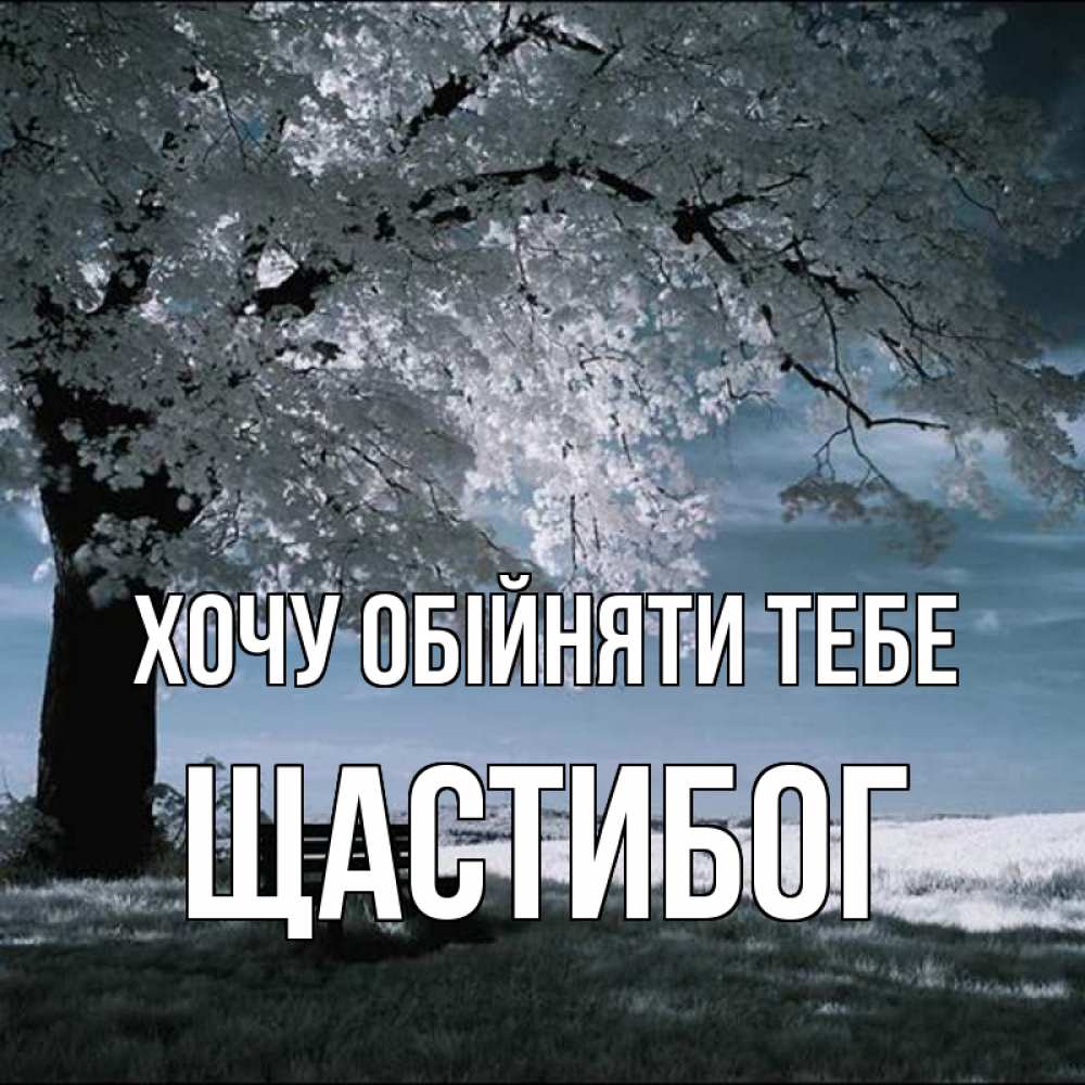 Открытка на каждый день з підписом, Щастибог Хочу обійняти тебе дерево Прикольна листівка з побажанням онлайн скачати безкоштовно 