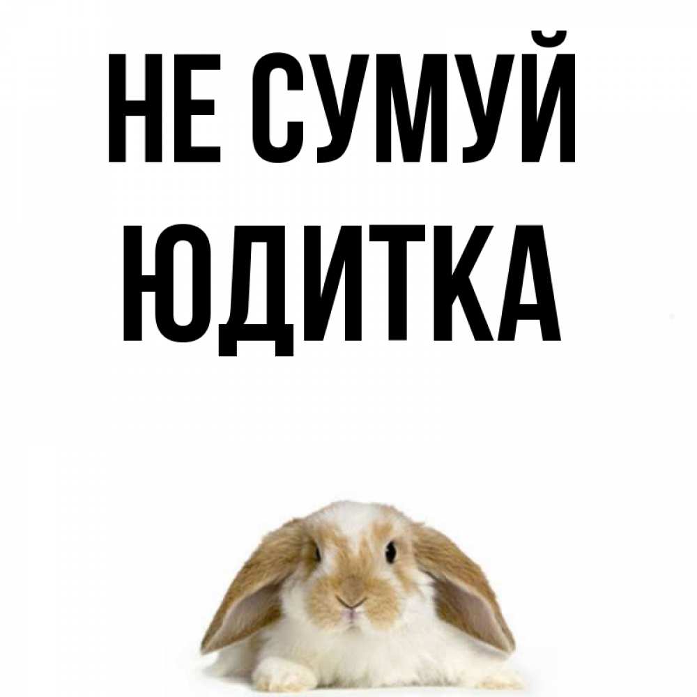 Открытка на каждый день з підписом, Юдитка Не сумуй коричнево белый заяц с большими ушками Прикольна листівка з побажанням онлайн скачати безкоштовно 