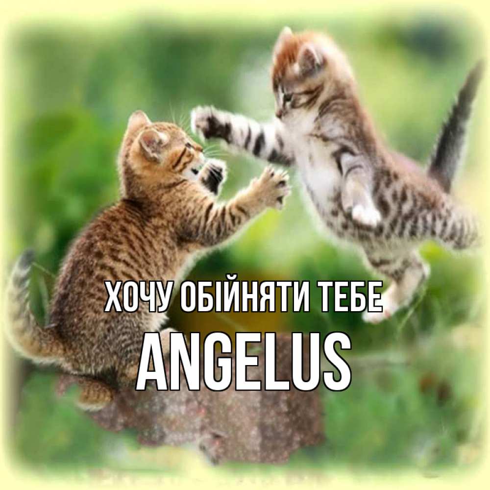 Открытка на каждый день з підписом, Angelus Хочу обійняти тебе игры котят Прикольна листівка з побажанням онлайн скачати безкоштовно 