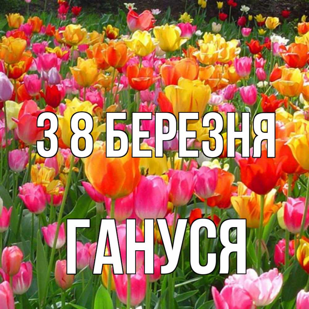 Открытка на каждый день з підписом, Гануся З 8 БЕРЕЗНЯ на международный женский день Прикольна листівка з побажанням онлайн скачати безкоштовно 