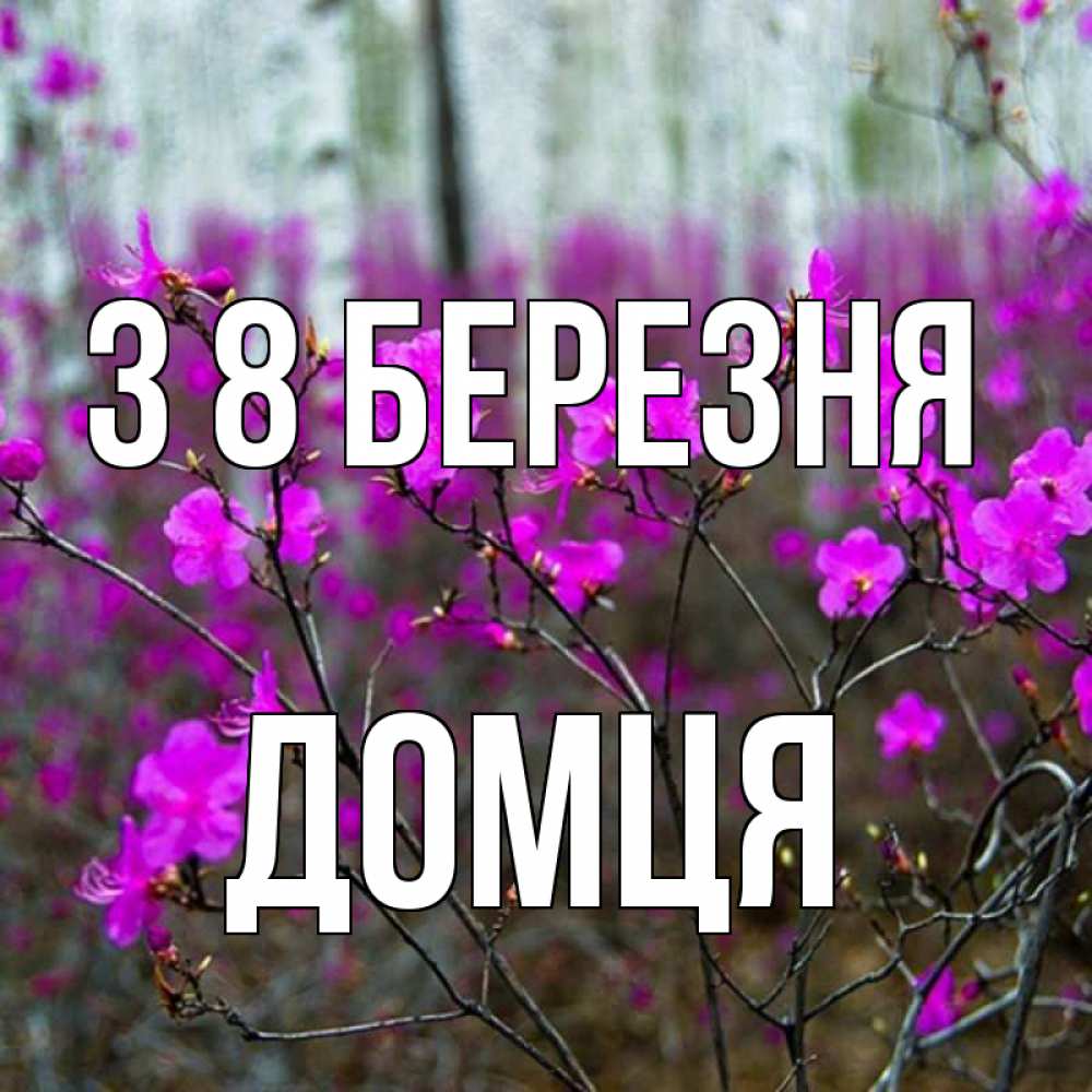 Открытка на каждый день з підписом, Домця З 8 БЕРЕЗНЯ дикие цветы Прикольна листівка з побажанням онлайн скачати безкоштовно 