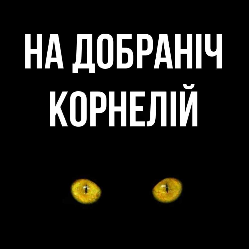 Открытка на каждый день з підписом, Корнелій На добраніч сладких снов бесстрашный мой дружочек Прикольна листівка з побажанням онлайн скачати безкоштовно 