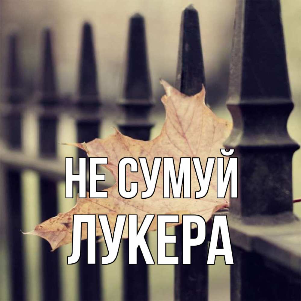 Открытка на каждый день з підписом, Лукера Не сумуй лист клена Прикольна листівка з побажанням онлайн скачати безкоштовно 