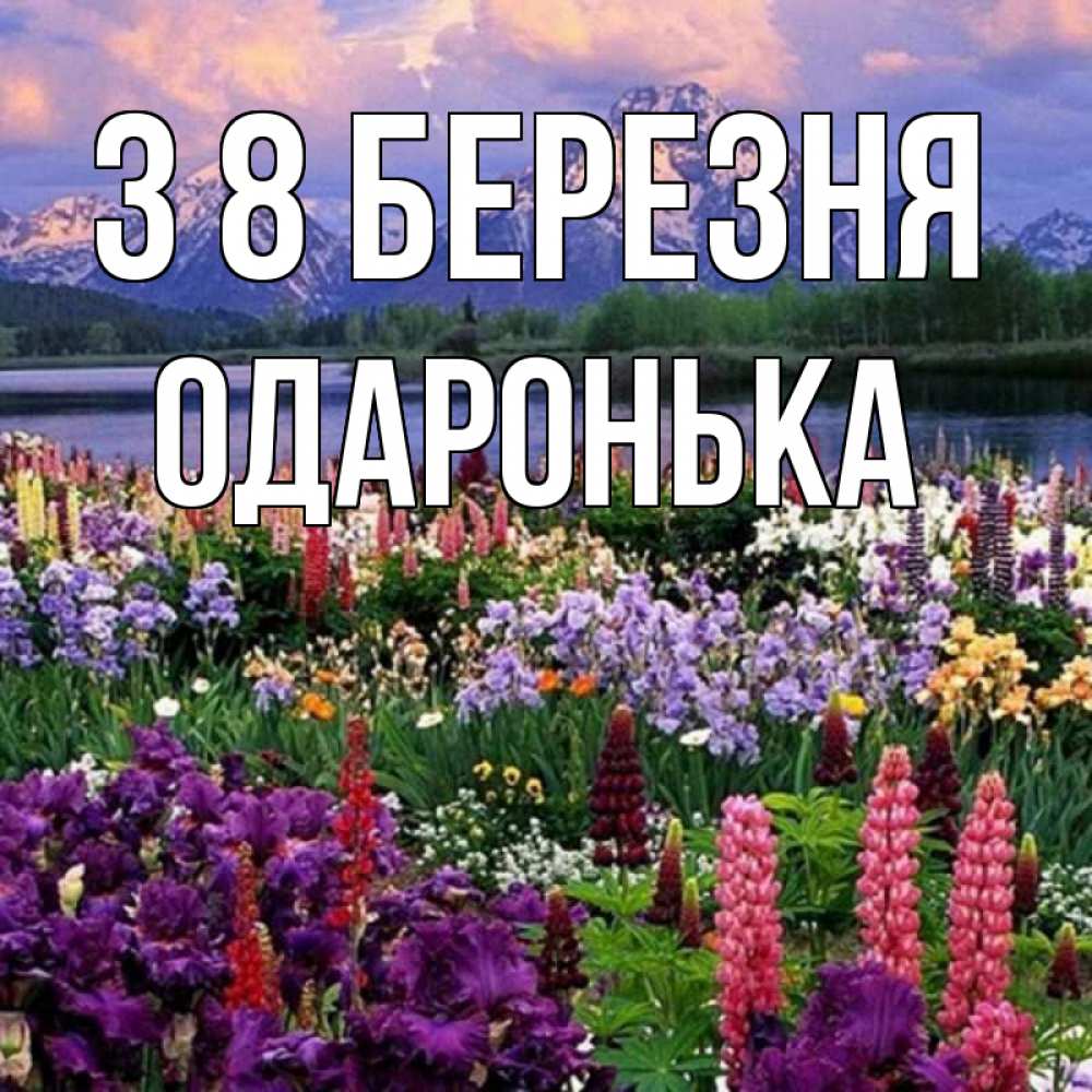 Открытка на каждый день з підписом, Одаронька З 8 БЕРЕЗНЯ международный женский день Прикольна листівка з побажанням онлайн скачати безкоштовно 