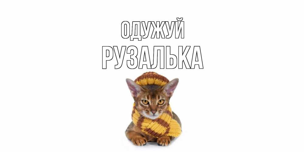 Открытка на каждый день з підписом, Рузалька Одужуй родные не болейте Прикольна листівка з побажанням онлайн скачати безкоштовно 