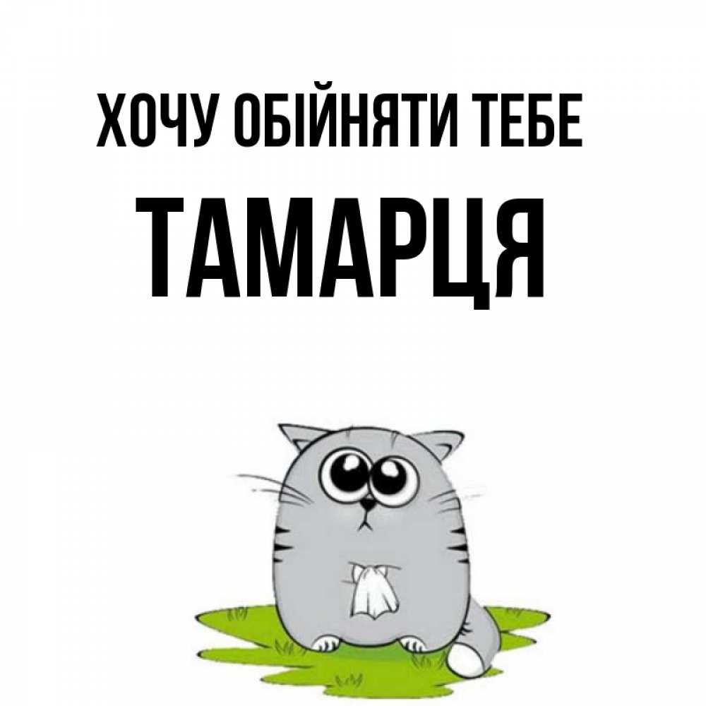 Открытка на каждый день з підписом, Тамарця Хочу обійняти тебе котик теребит платочек сидя на травке Прикольна листівка з побажанням онлайн скачати безкоштовно 