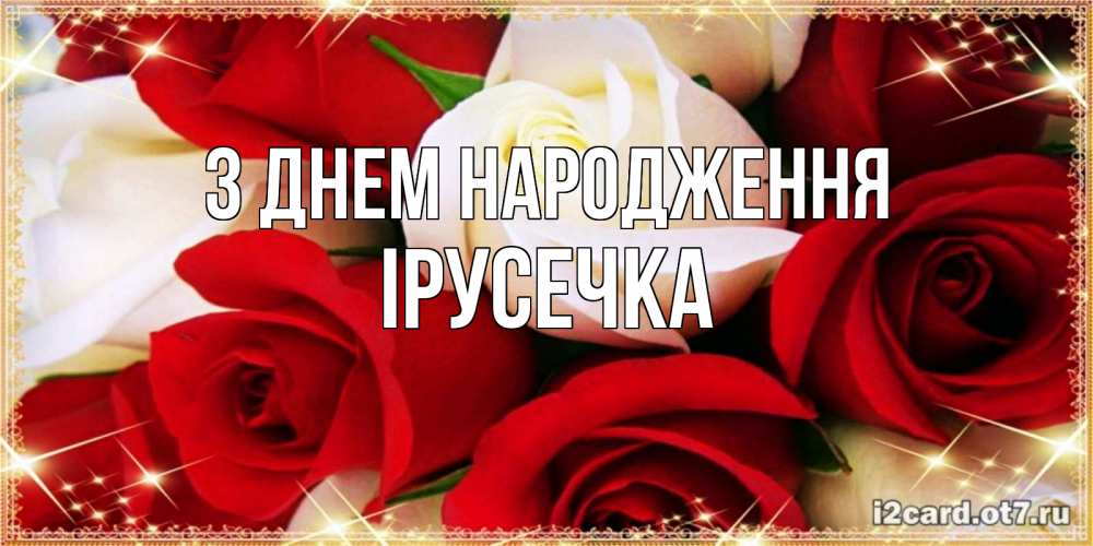 Открытка на каждый день з підписом, Ірусечка З Днем народження открытка на день рождения с белыми и красными розами Прикольна листівка з побажанням онлайн скачати безкоштовно 