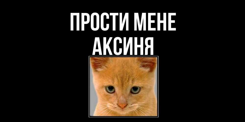 Открытка на каждый день з підписом, Аксиня Прости мене рыжий грустный кот просит прощения Прикольна листівка з побажанням онлайн скачати безкоштовно 