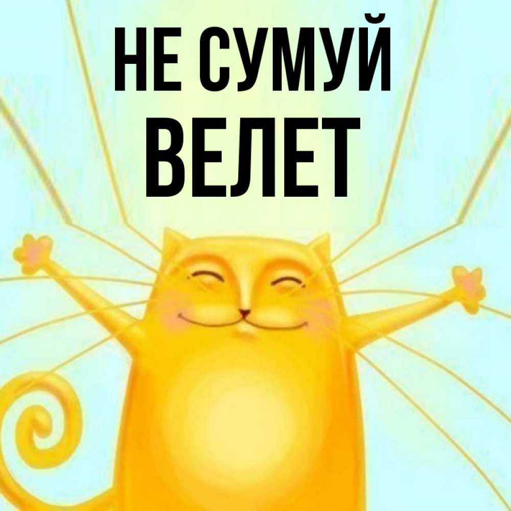 Открытка на каждый день з підписом, Велет Не сумуй обнимашки усатые Прикольна листівка з побажанням онлайн скачати безкоштовно 