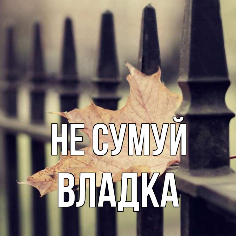 Открытка на каждый день з підписом, Владка Не сумуй лист клена Прикольна листівка з побажанням онлайн скачати безкоштовно 