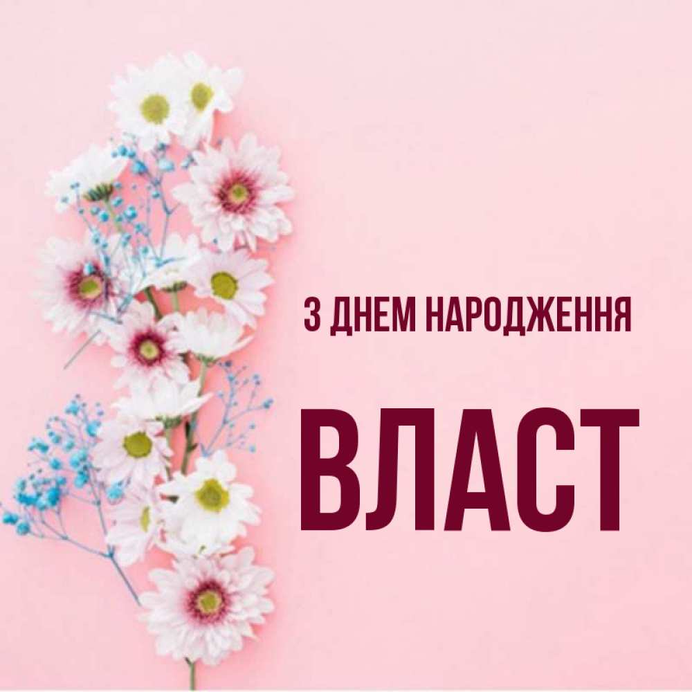 Открытка на каждый день з підписом, Власт З Днем народження Родная моя с днем рождения тебя картинка с цветами белыми и голубыми Прикольна листівка з побажанням онлайн скачати безкоштовно 
