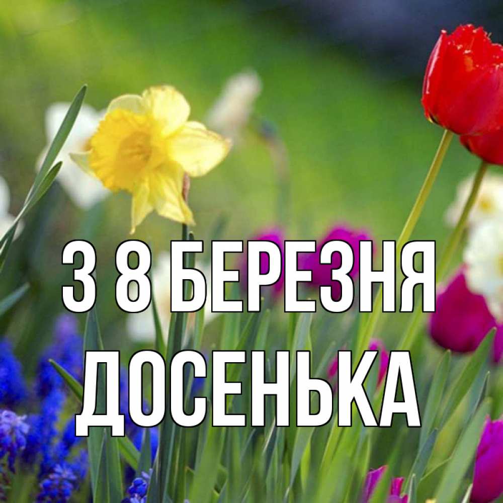 Открытка на каждый день з підписом, Досенька З 8 БЕРЕЗНЯ международный женский день 3 Прикольна листівка з побажанням онлайн скачати безкоштовно 