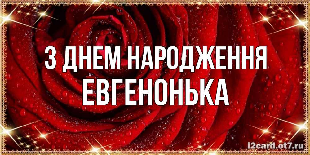 Открытка на каждый день з підписом, Евгенонька З Днем народження роса на розе блестящая в лучах солнца Прикольна листівка з побажанням онлайн скачати безкоштовно 