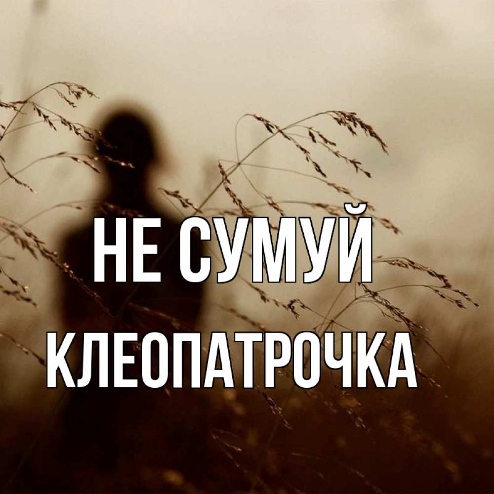Открытка на каждый день з підписом, Клеопатрочка Не сумуй грусть Прикольна листівка з побажанням онлайн скачати безкоштовно 