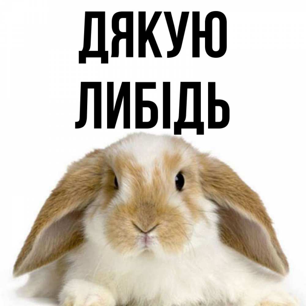 Открытка на каждый день з підписом, Либідь Дякую коричнево белый заяц Прикольна листівка з побажанням онлайн скачати безкоштовно 