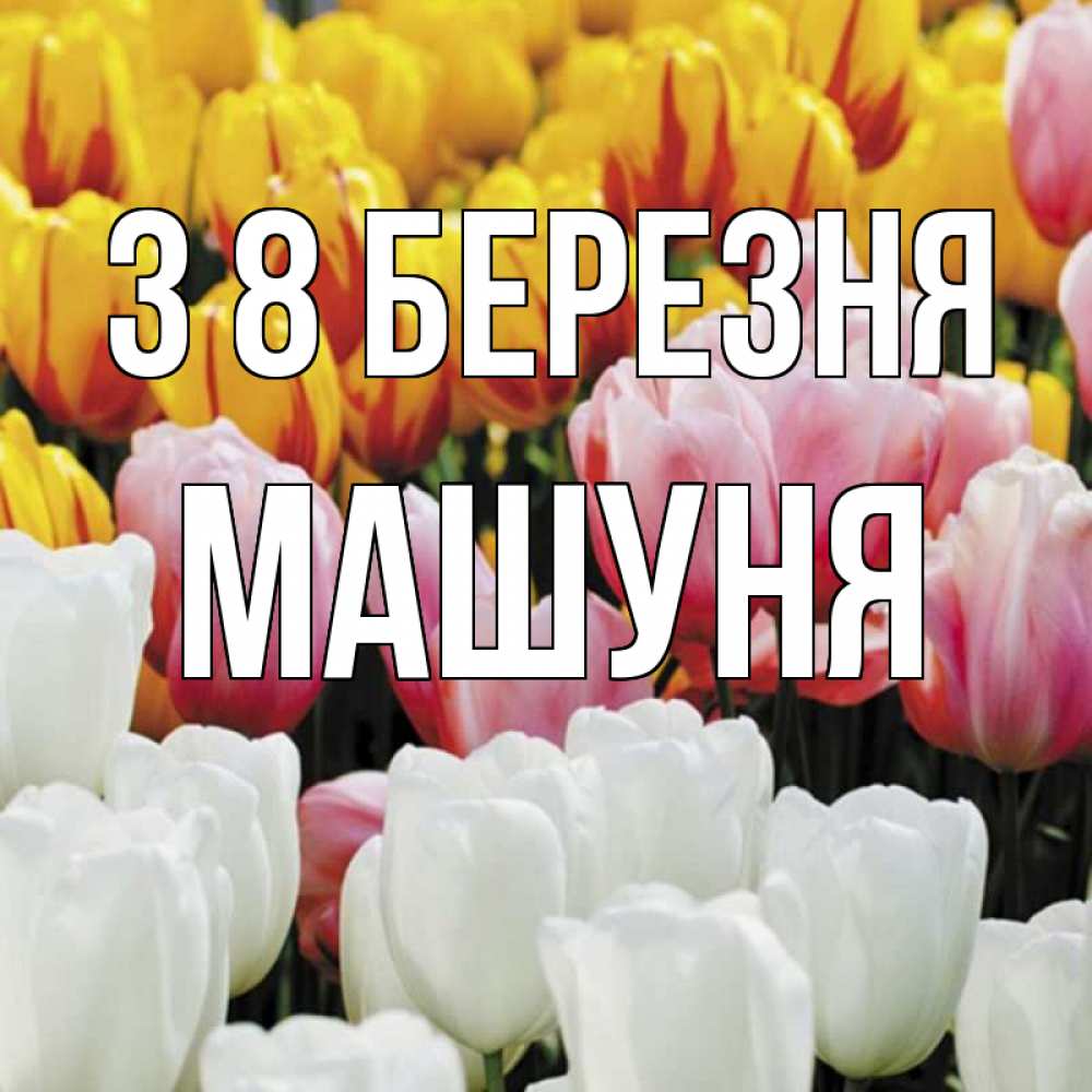 Открытка на каждый день з підписом, Машуня З 8 БЕРЕЗНЯ разноцветные цветы Прикольна листівка з побажанням онлайн скачати безкоштовно 