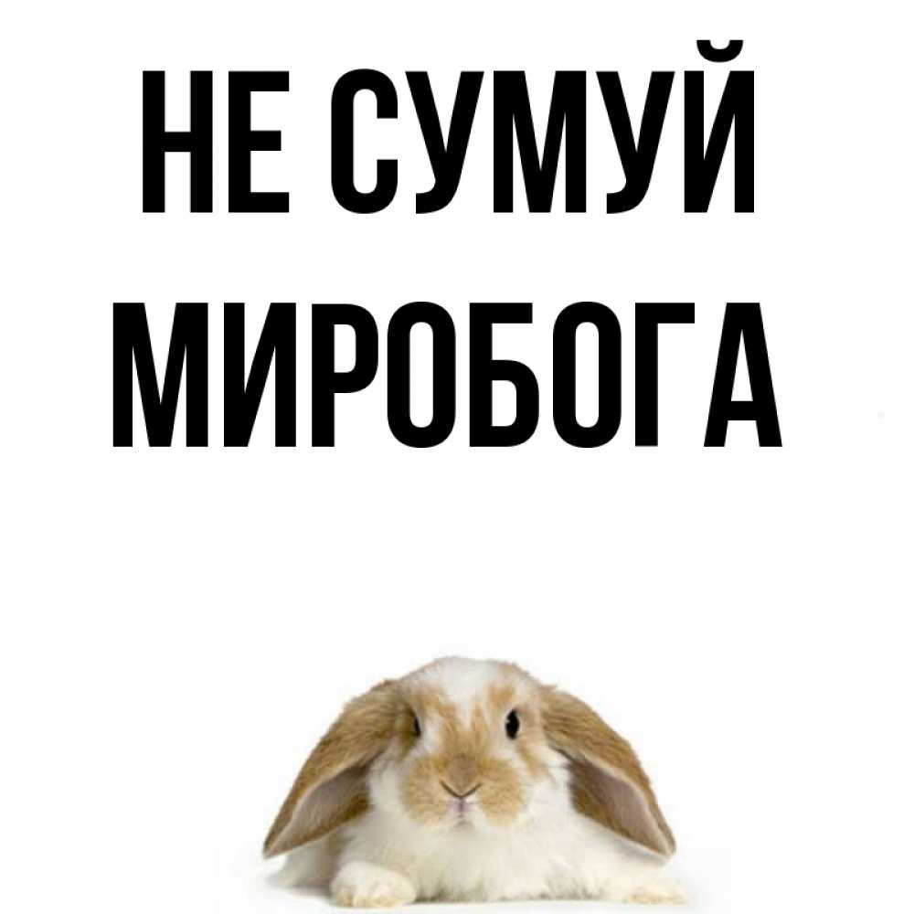 Открытка на каждый день з підписом, Миробога Не сумуй коричнево белый заяц с большими ушками Прикольна листівка з побажанням онлайн скачати безкоштовно 