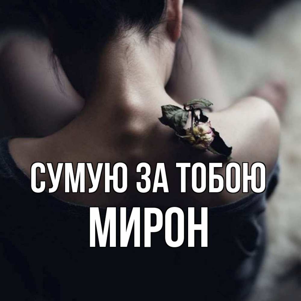 Открытка на каждый день з підписом, Мирон Сумую за тобою засох цветок Прикольна листівка з побажанням онлайн скачати безкоштовно 
