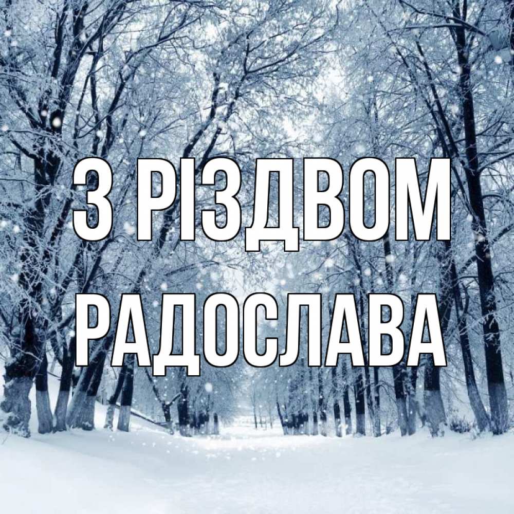 Открытка на каждый день з підписом, Радослава З Різдвом снег, лес, парк Прикольна листівка з побажанням онлайн скачати безкоштовно 