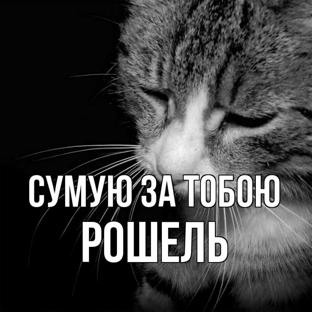 Открытка на каждый день з підписом, Рошель Сумую за тобою мне скучно Прикольна листівка з побажанням онлайн скачати безкоштовно 