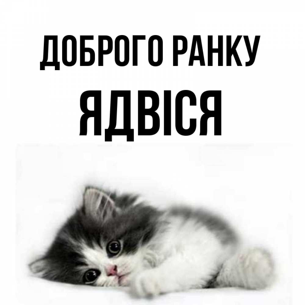 Открытка на каждый день з підписом, Ядвіся Доброго ранку кот лапки Прикольна листівка з побажанням онлайн скачати безкоштовно 