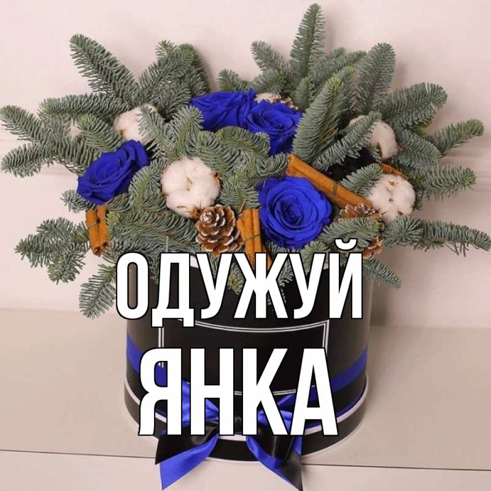 Открытка на каждый день з підписом, Янка Одужуй короче кто то загрузил эти шишки Прикольна листівка з побажанням онлайн скачати безкоштовно 