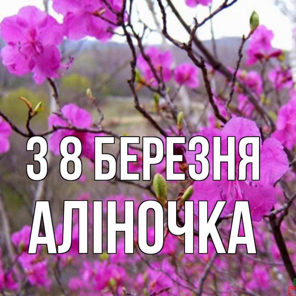 Открытка на каждый день з підписом, Аліночка З 8 БЕРЕЗНЯ международный женский день Прикольна листівка з побажанням онлайн скачати безкоштовно 