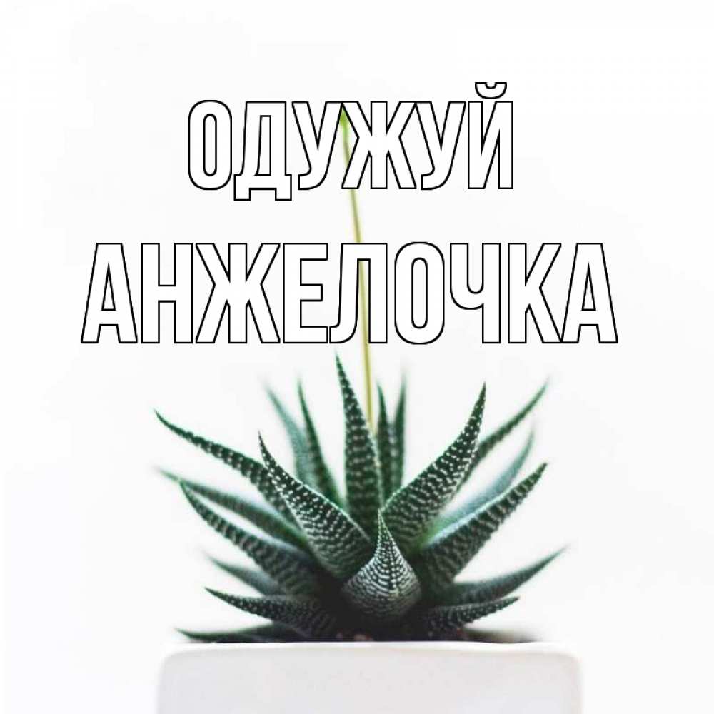 Открытка на каждый день з підписом, Анжелочка Одужуй короче это непонятная колючка Прикольна листівка з побажанням онлайн скачати безкоштовно 