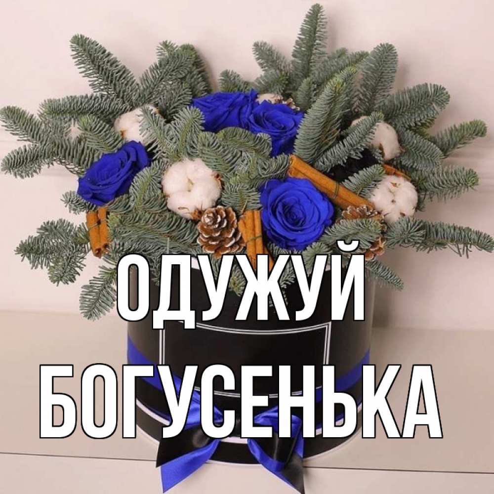 Открытка на каждый день з підписом, Богусенька Одужуй короче кто то загрузил эти шишки Прикольна листівка з побажанням онлайн скачати безкоштовно 