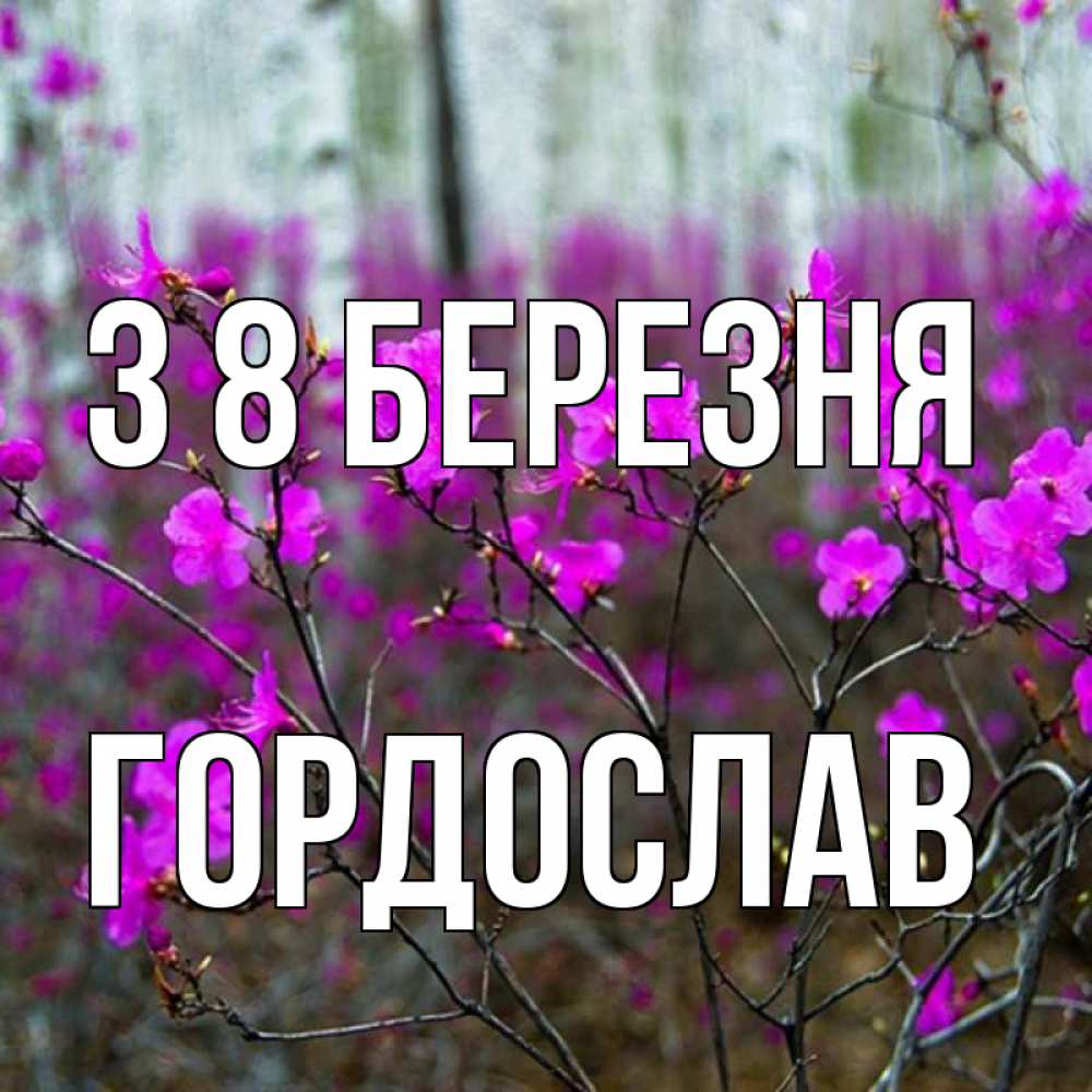 Открытка на каждый день з підписом, Гордослав З 8 БЕРЕЗНЯ дикие цветы Прикольна листівка з побажанням онлайн скачати безкоштовно 