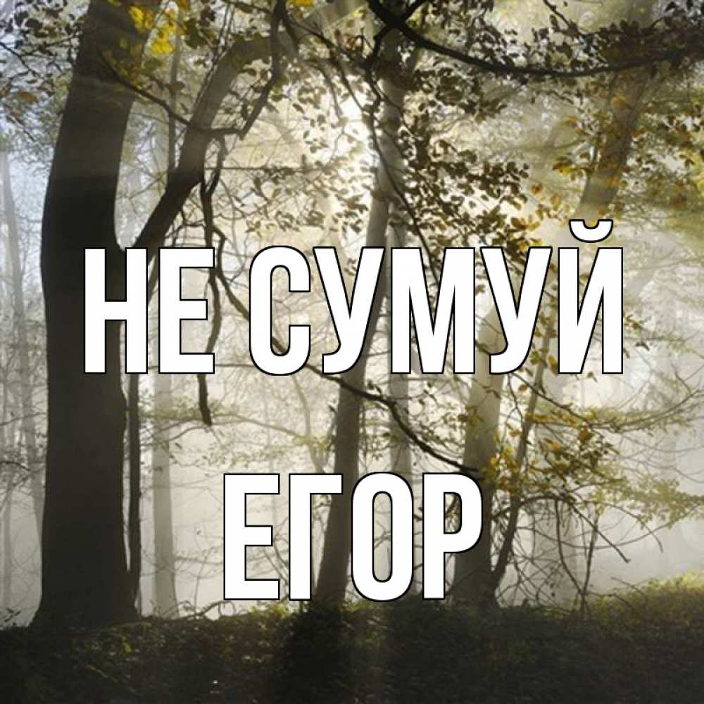 Открытка на каждый день з підписом, Егор Не сумуй лес и свет Прикольна листівка з побажанням онлайн скачати безкоштовно 