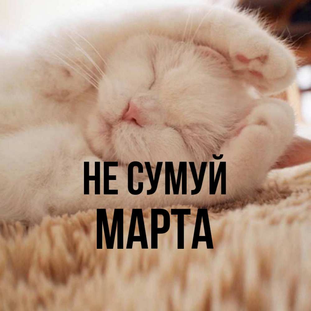 Открытка на каждый день з підписом, Марта Не сумуй Котенок спит Прикольна листівка з побажанням онлайн скачати безкоштовно 