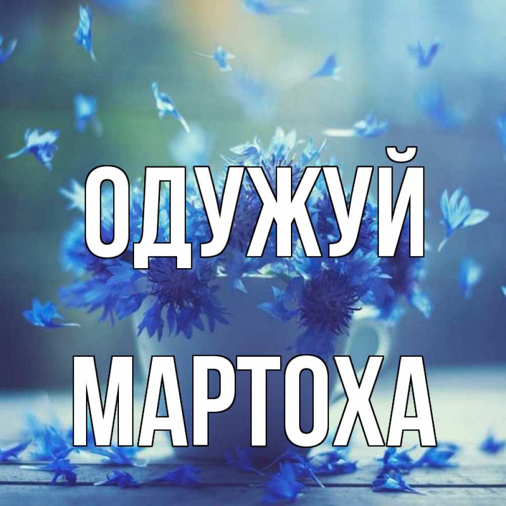 Открытка на каждый день з підписом, Мартоха Одужуй кружка с зельем и цветами Прикольна листівка з побажанням онлайн скачати безкоштовно 