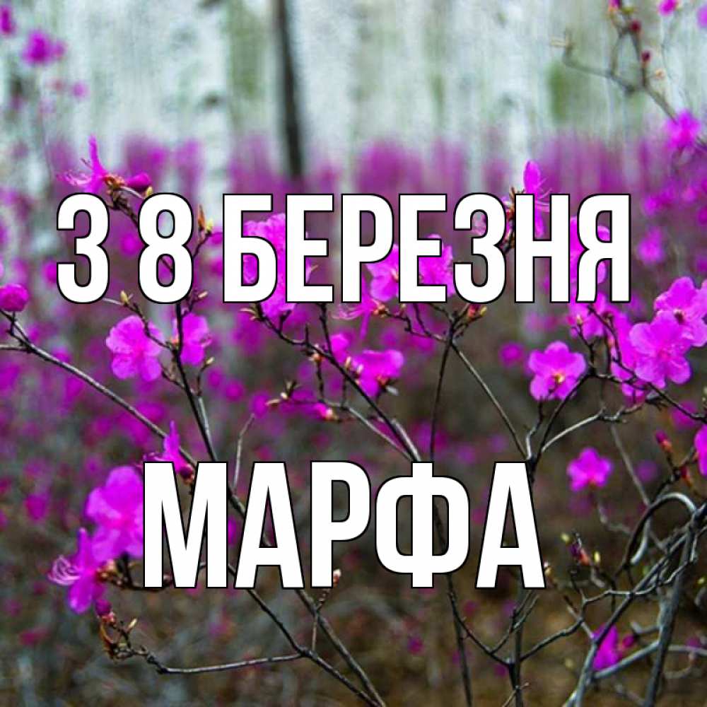 Открытка на каждый день з підписом, Марфа З 8 БЕРЕЗНЯ дикие цветы Прикольна листівка з побажанням онлайн скачати безкоштовно 