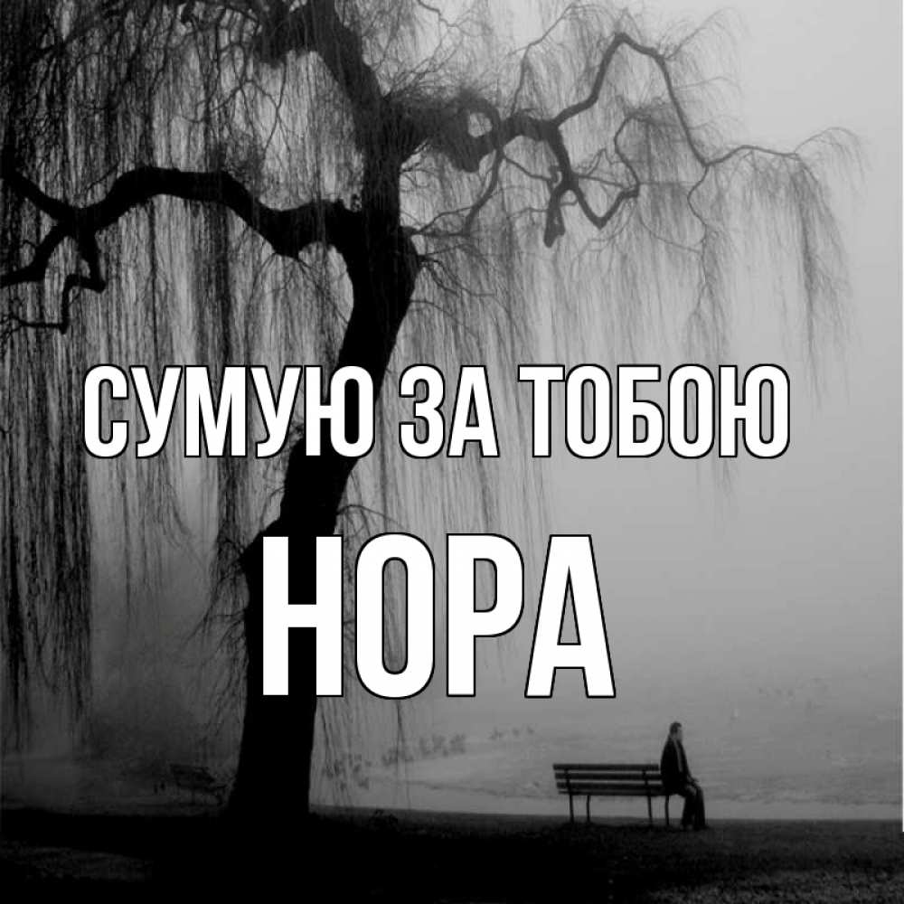 Открытка на каждый день з підписом, Нора Сумую за тобою лавочка под деревом я жду тебя Прикольна листівка з побажанням онлайн скачати безкоштовно 