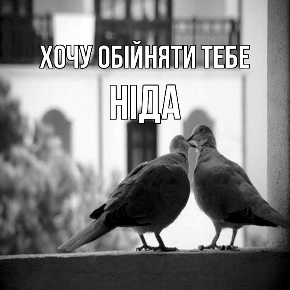 Открытка на каждый день з підписом, Ніда Хочу обійняти тебе птицы на подоконнике Прикольна листівка з побажанням онлайн скачати безкоштовно 