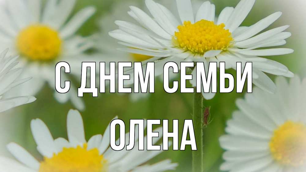 Открытка на каждый день з підписом, Олена С днем семьи с днем семьи  1 Прикольна листівка з побажанням онлайн скачати безкоштовно 