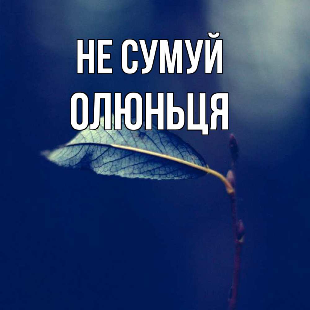 Открытка на каждый день з підписом, Олюньця Не сумуй растение Прикольна листівка з побажанням онлайн скачати безкоштовно 