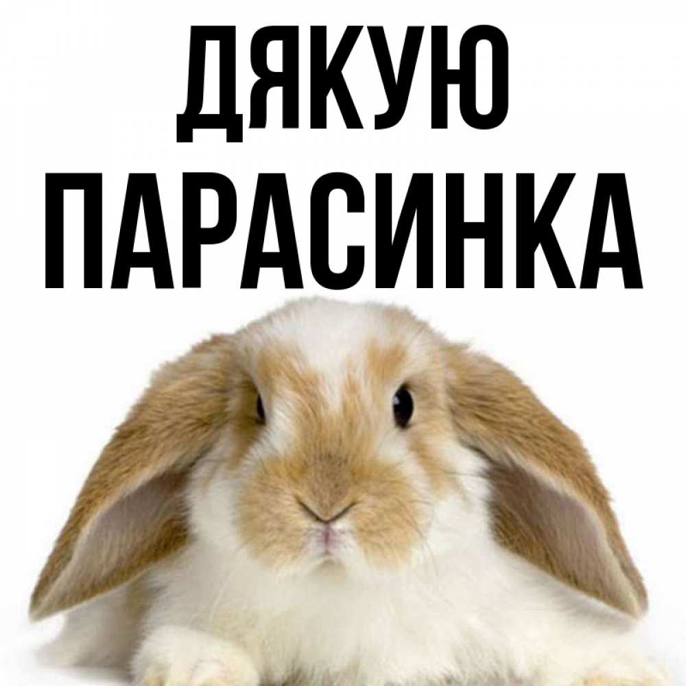 Открытка на каждый день з підписом, Парасинка Дякую коричнево белый заяц Прикольна листівка з побажанням онлайн скачати безкоштовно 