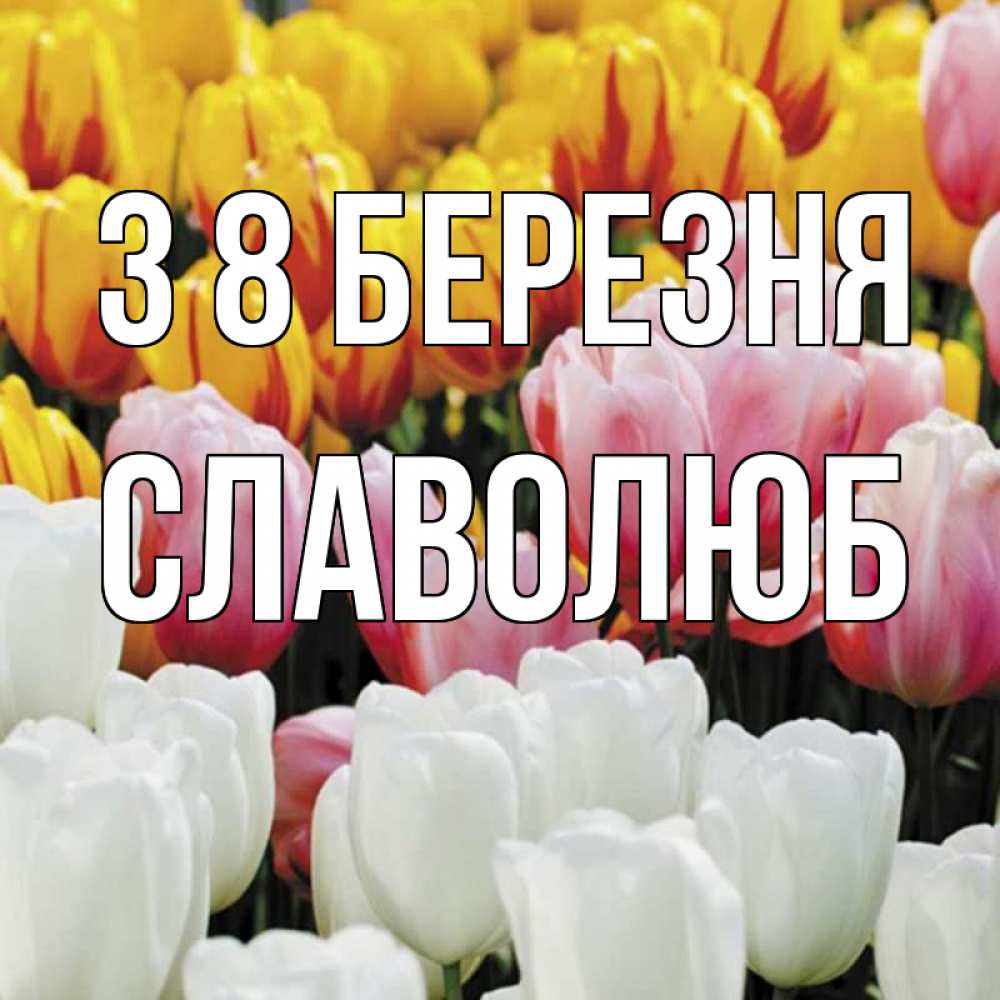 Открытка на каждый день з підписом, Славолюб З 8 БЕРЕЗНЯ разноцветные цветы Прикольна листівка з побажанням онлайн скачати безкоштовно 